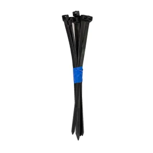10 Zip Ties