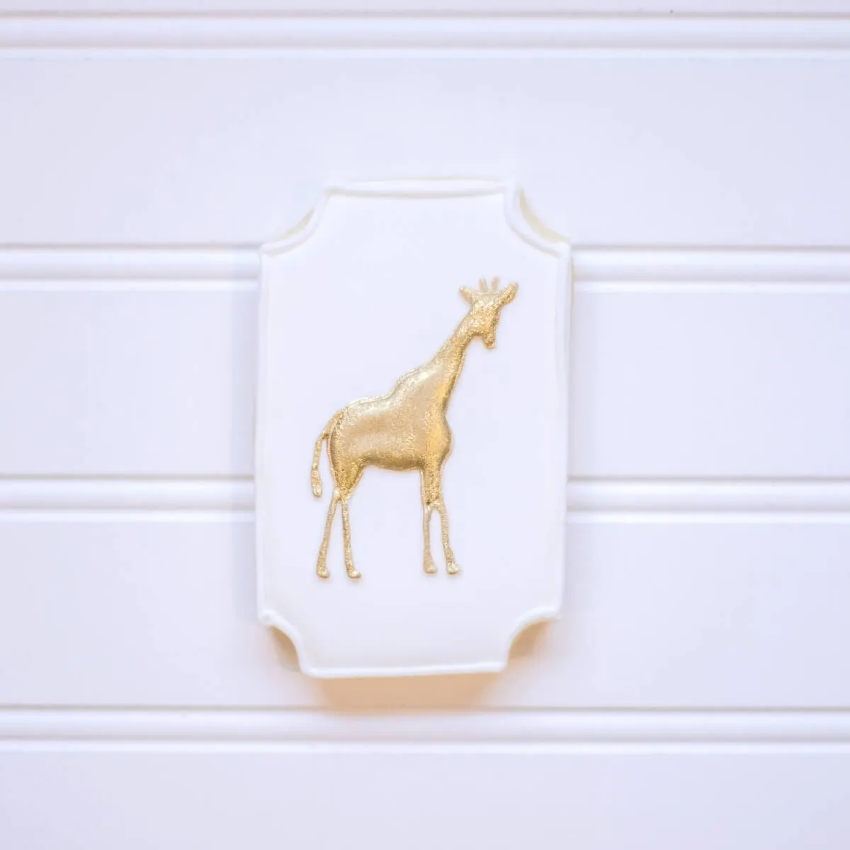 Baby Shower | White Safari