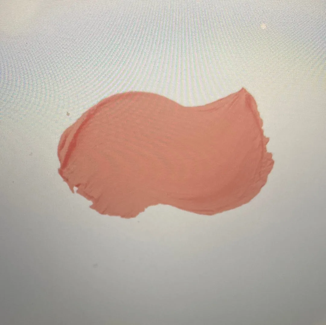 Bare Truth Matte Lipstick