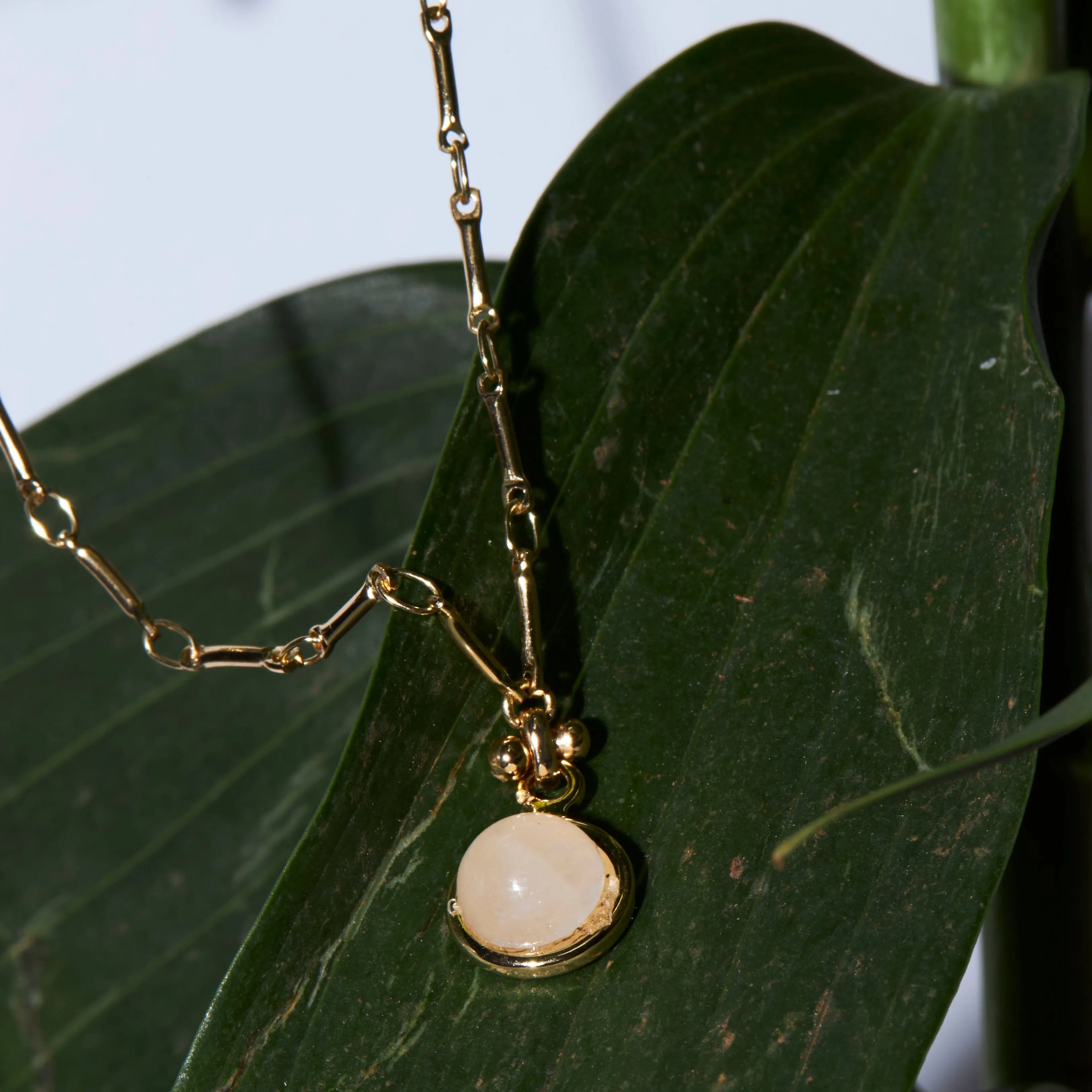 Blush Coin Pendant Necklace