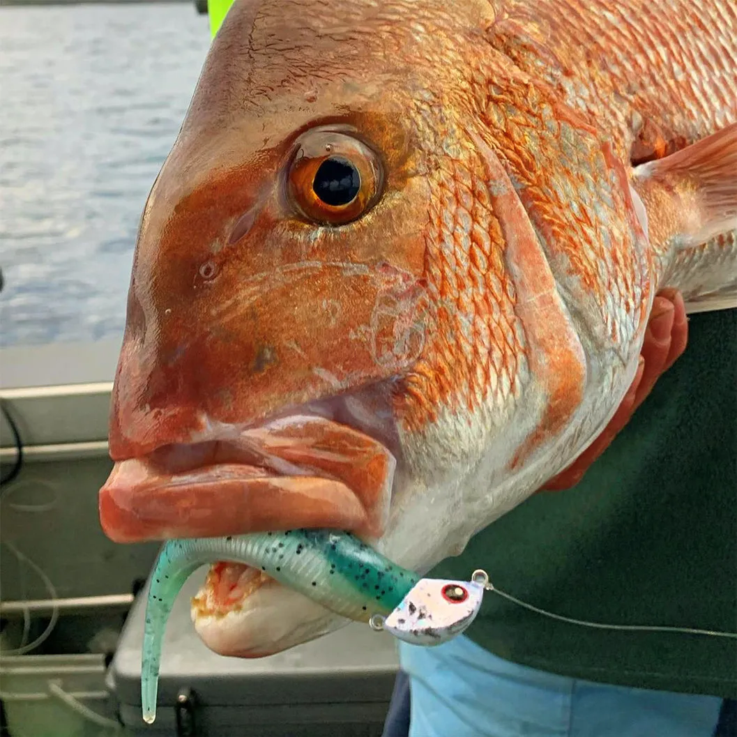 Catch Black Label Livies Softbait 5 or 7" Jerkshad - Power Pilchard Glow