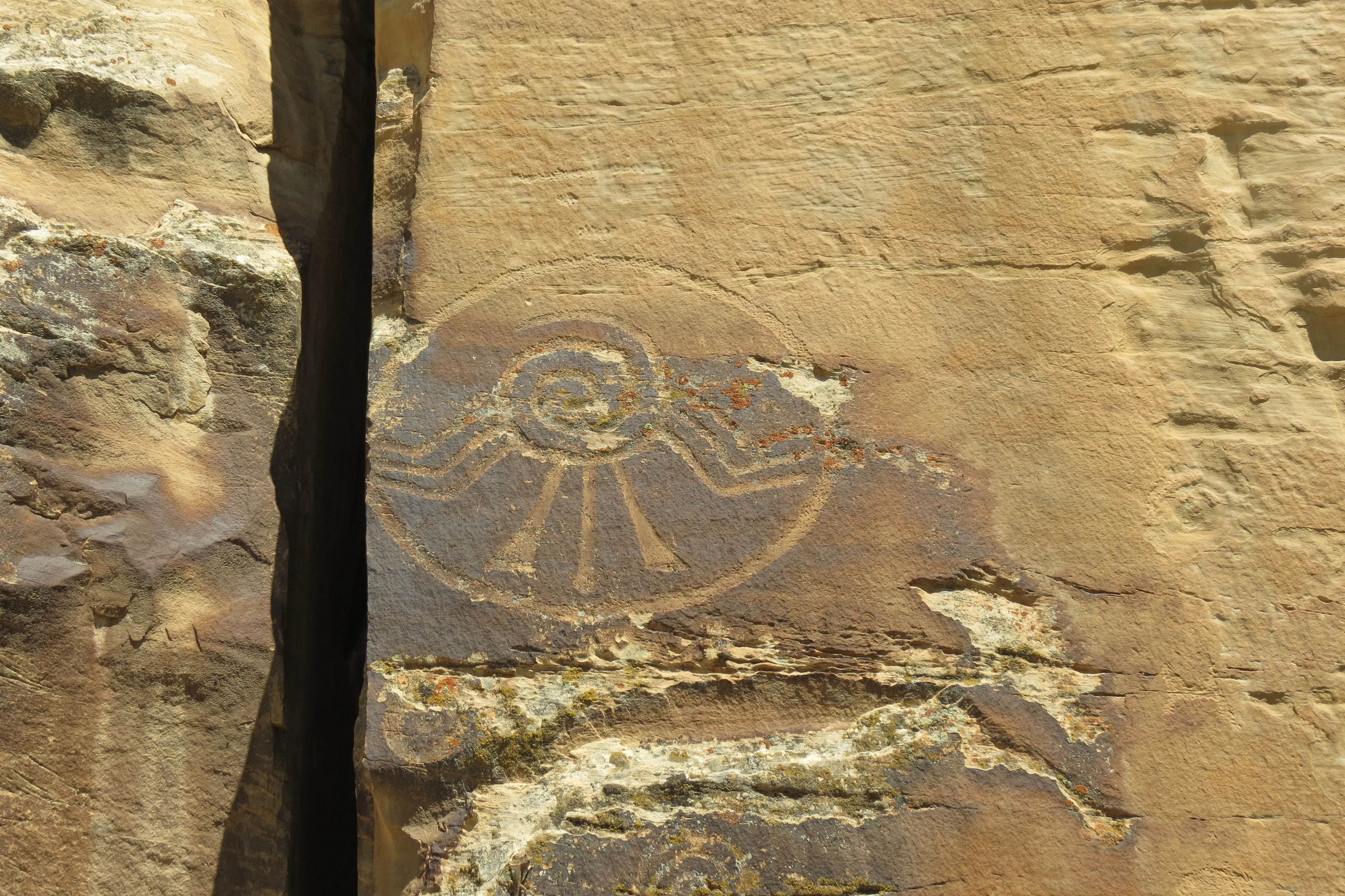 Decorated Battle Shield