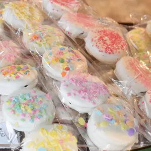 Decorated Oreo 4 Pack Spring