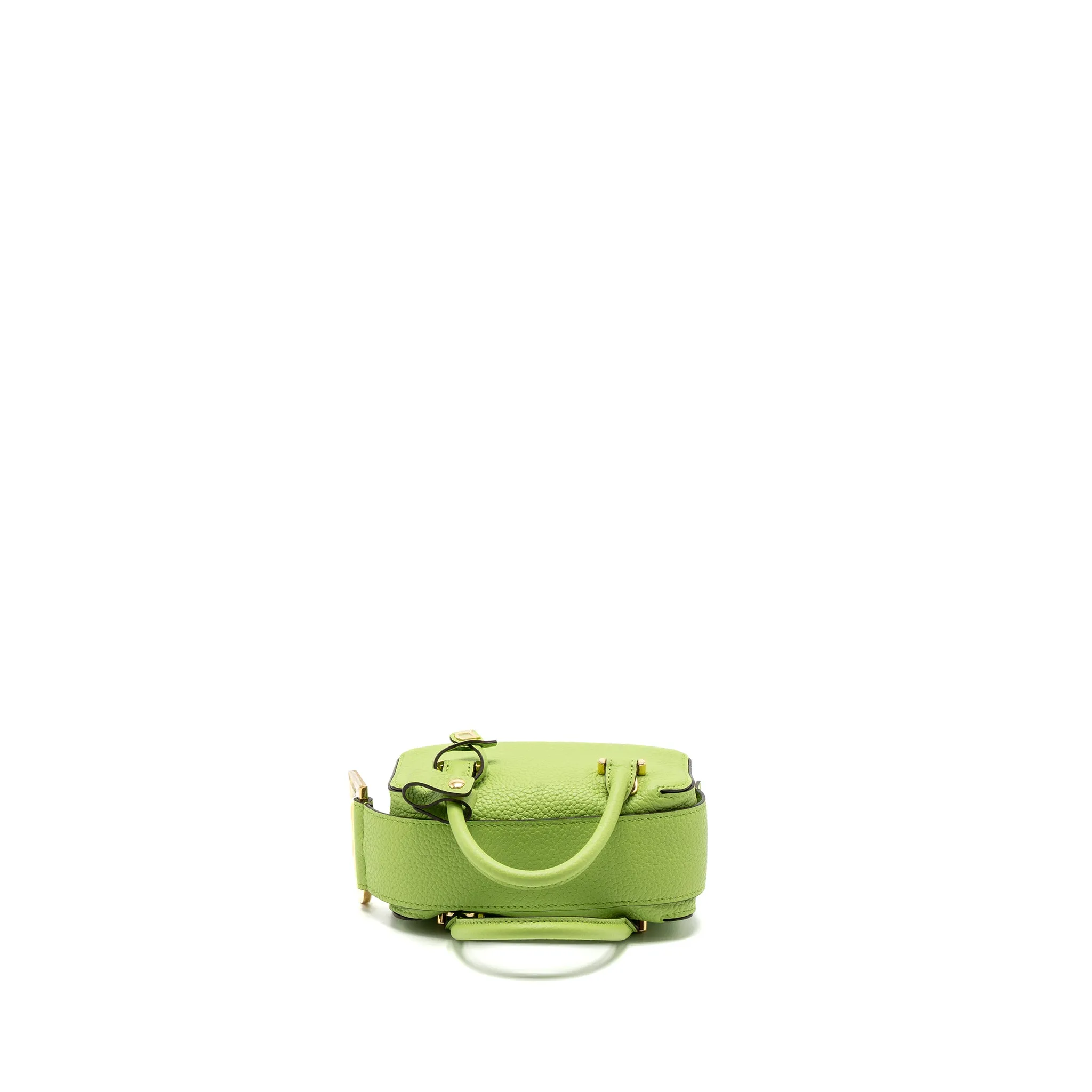 Delvaux Cool Box Nano Taurillon Soft Calfskin Aloe GHW
