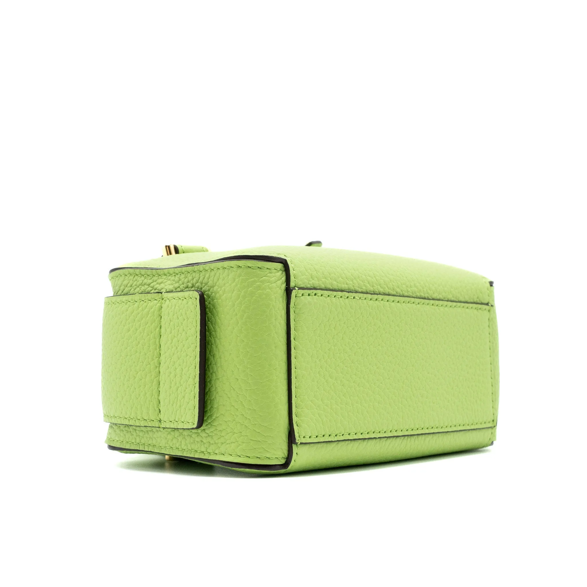 Delvaux Cool Box Nano Taurillon Soft Calfskin Aloe GHW