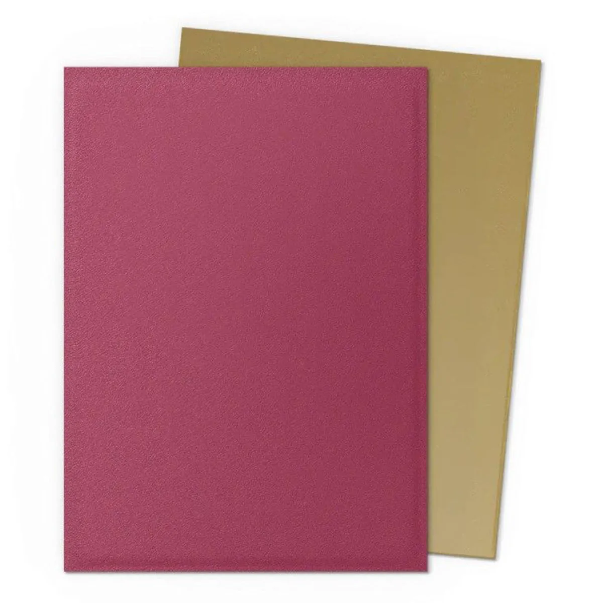 Dragon Shield 100ct Matte Dual Anniversary Special Edition Red Gold Sleeves