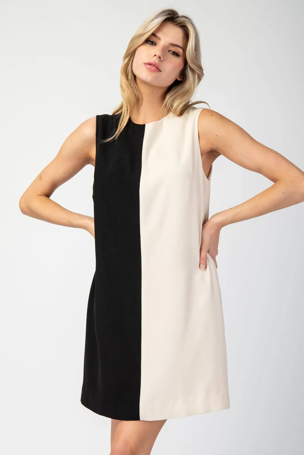 Elliana Color-Block Mini Dress