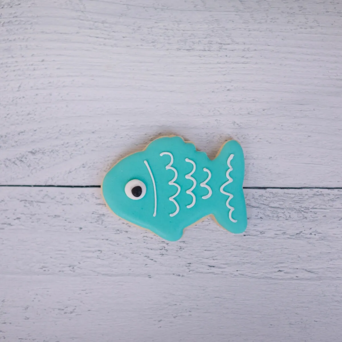 First Birthday | I caught the BIG ONE