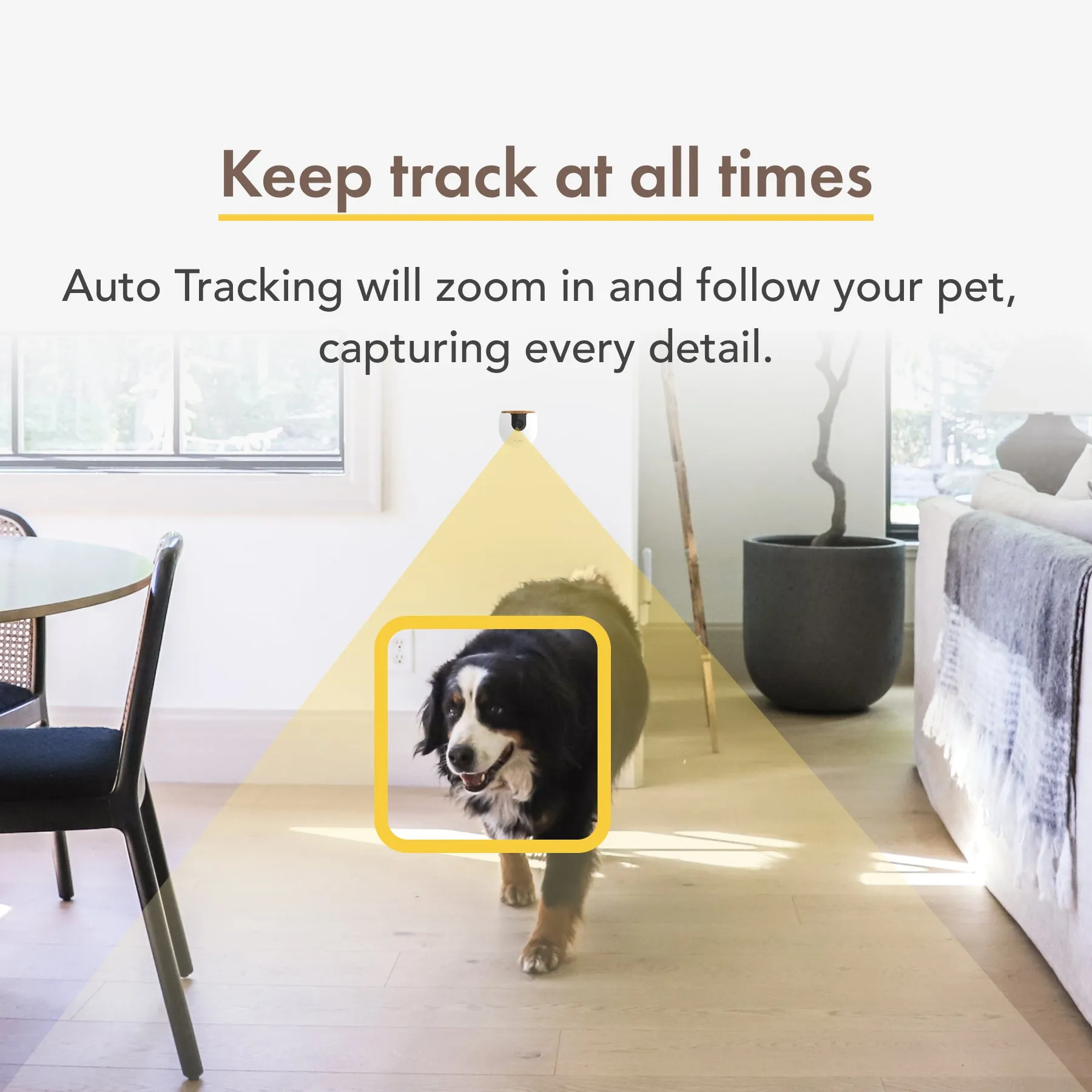 Furbo Mini Camera [Nanny Edition]