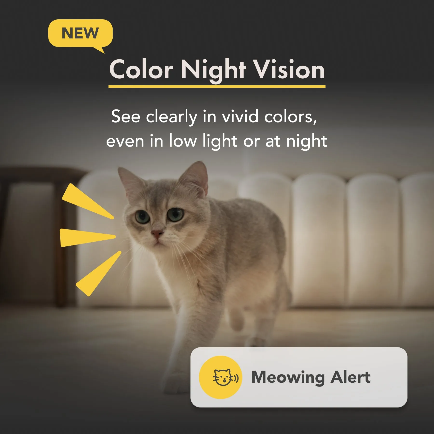 Furbo Mini Camera [Nanny Edition]