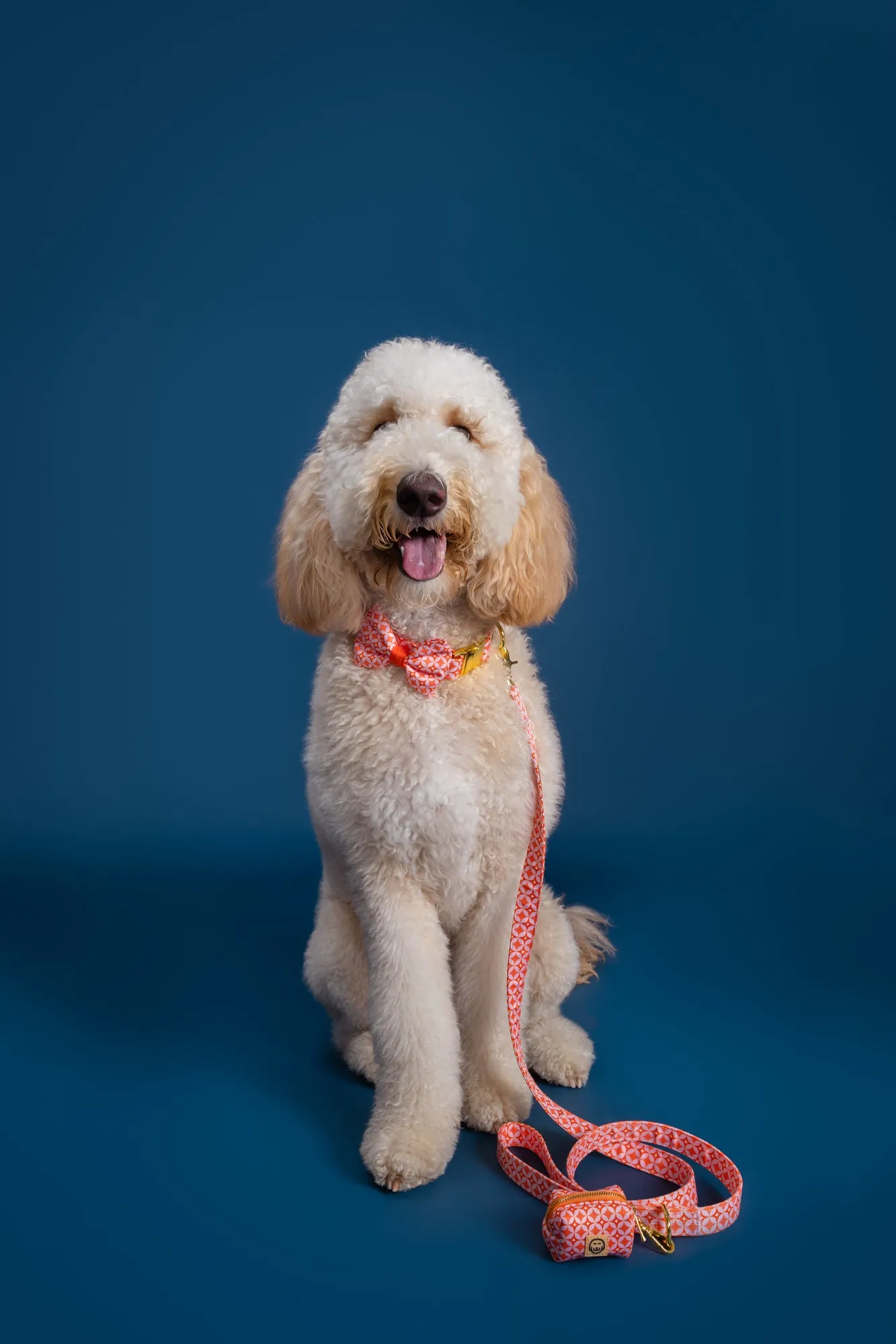 Glam Pup - Dog Bowtie - FINAL SALE