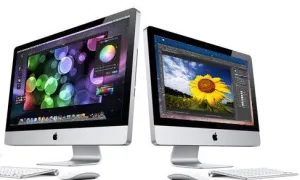 Graphic Design Service