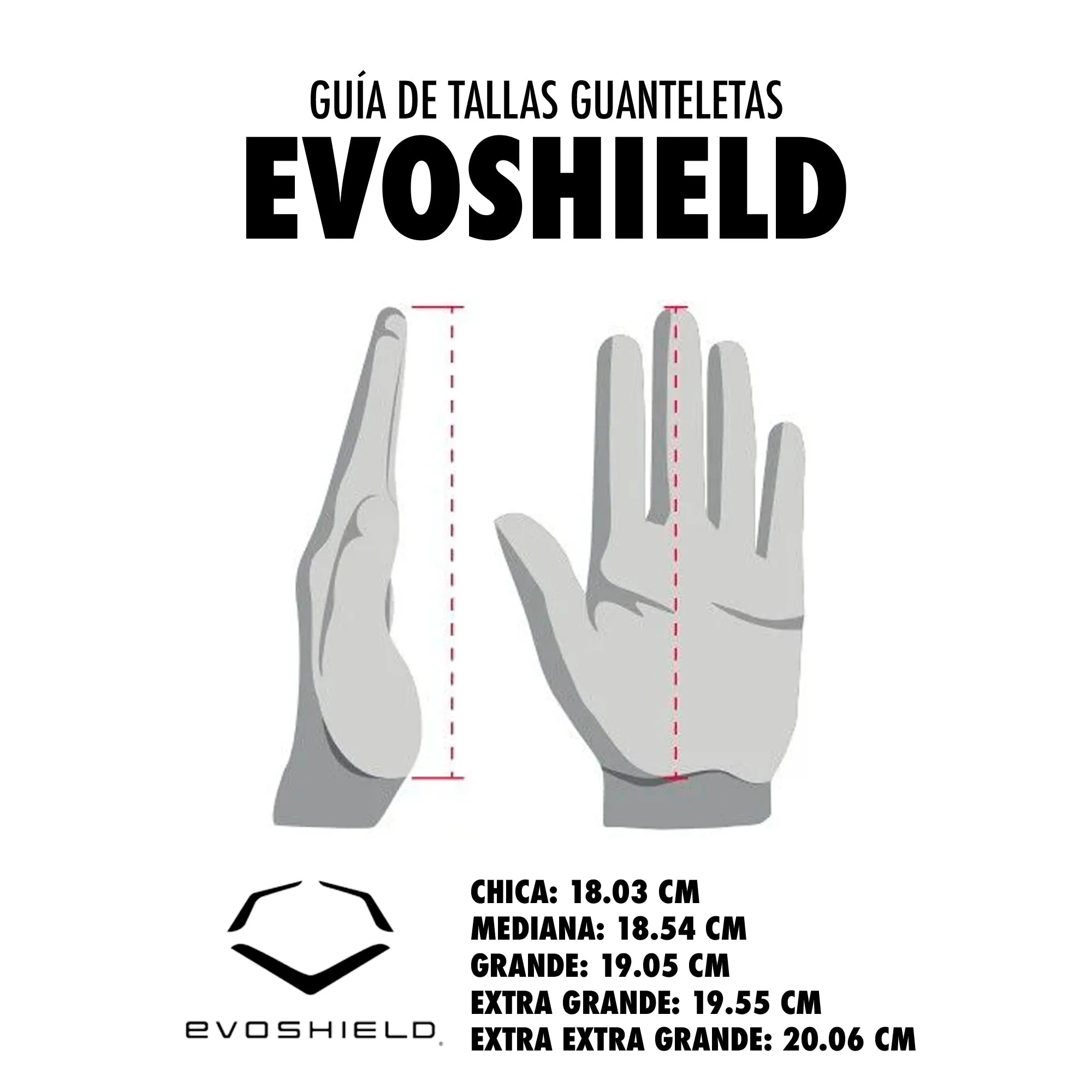 Guanteleta Beisbol Evoshield Daze Marino ADULTO