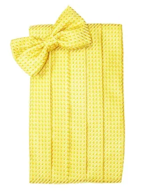 Lemon Venetian Kids Cummerbund