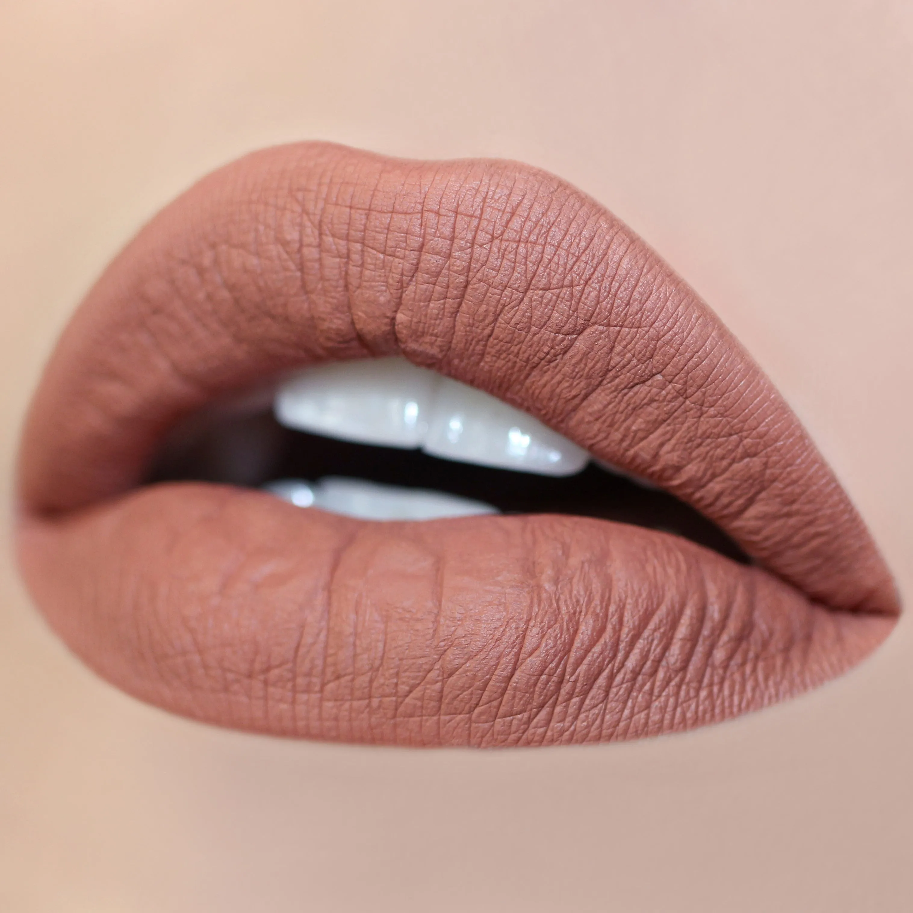 Long Lasting Matte Lip Paint Liquid Lipstick