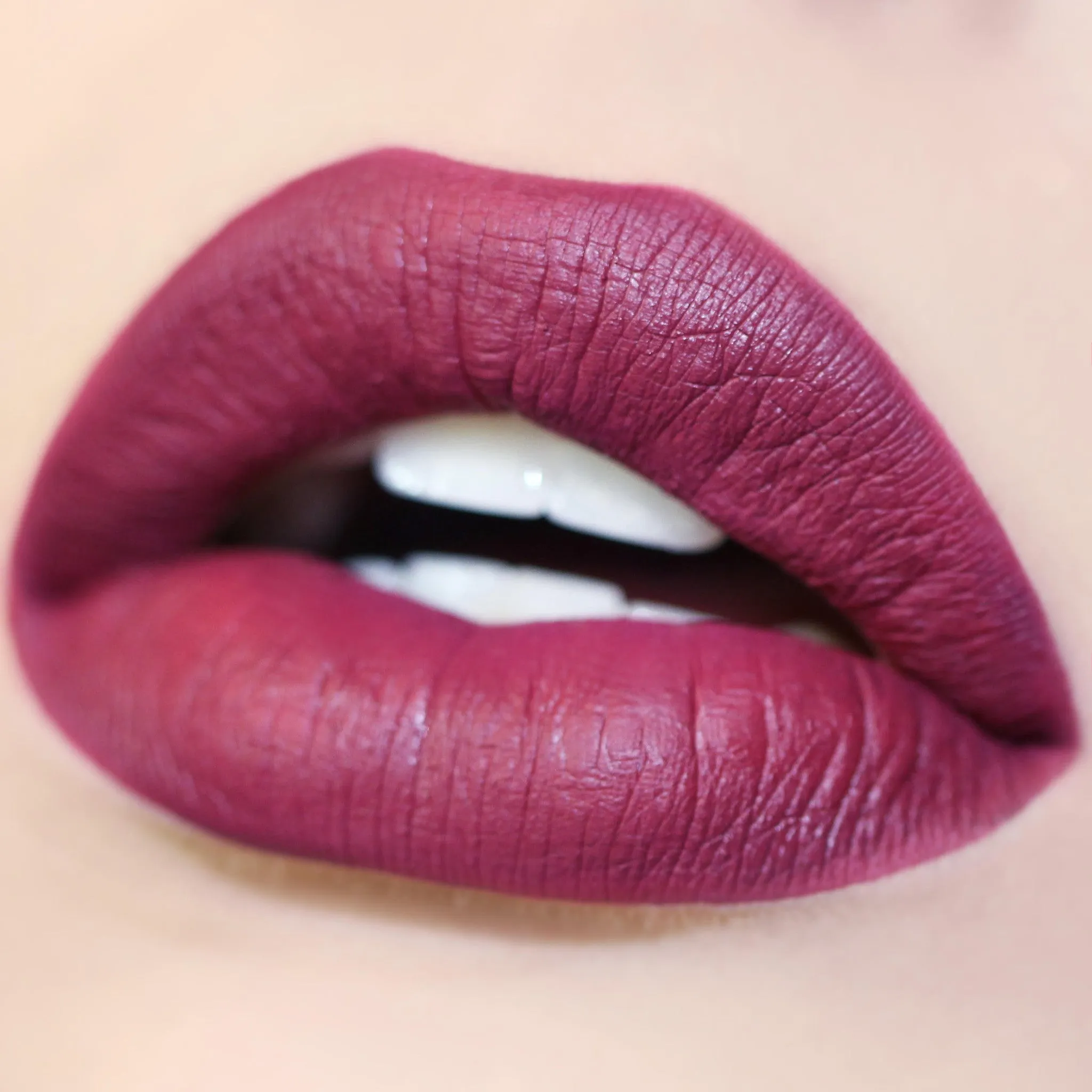 Long Lasting Matte Lip Paint Liquid Lipstick