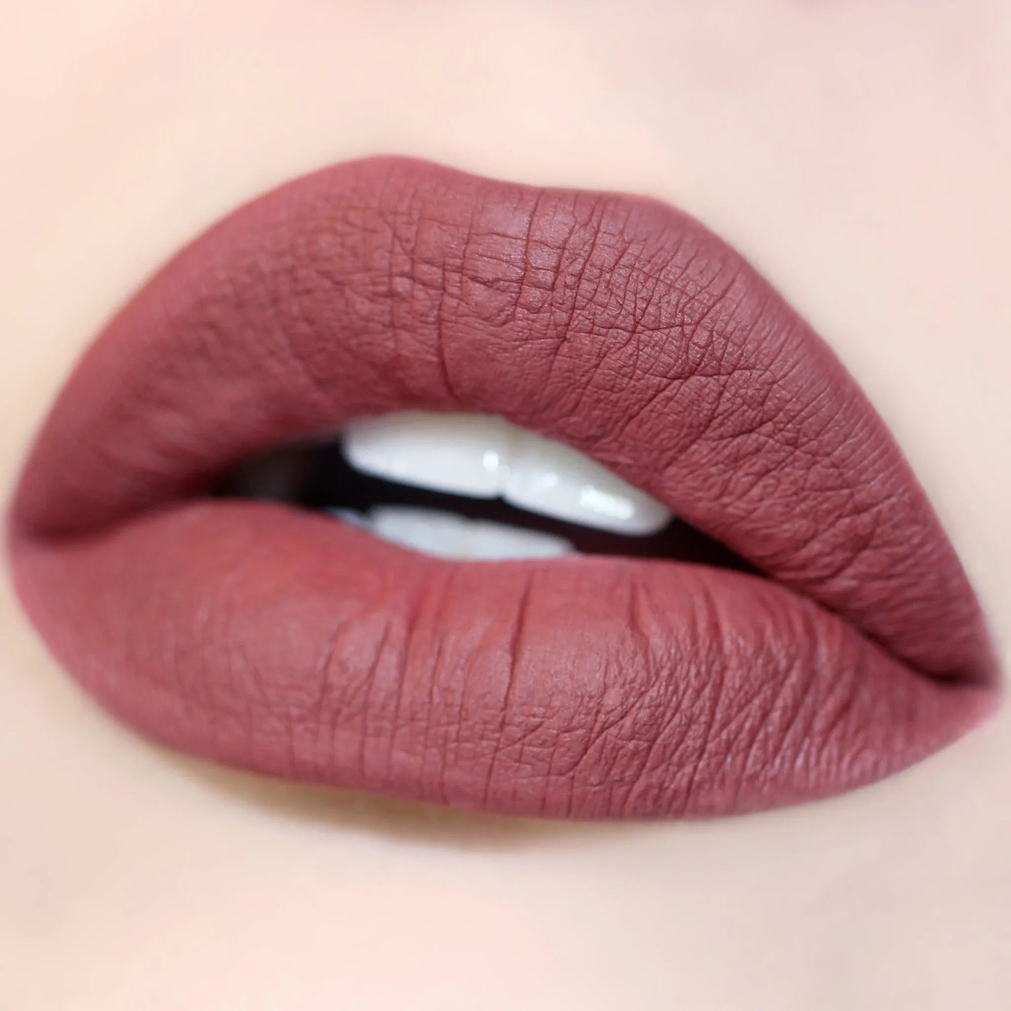 Long Lasting Matte Lip Paint Liquid Lipstick