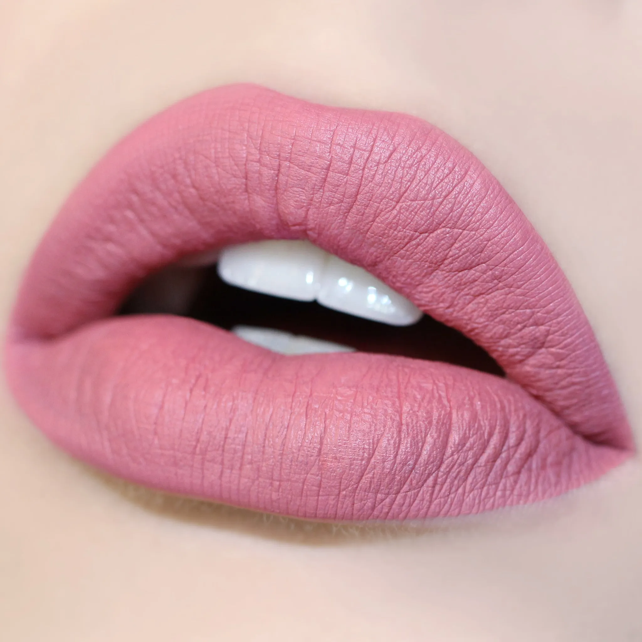 Long Lasting Matte Lip Paint Liquid Lipstick