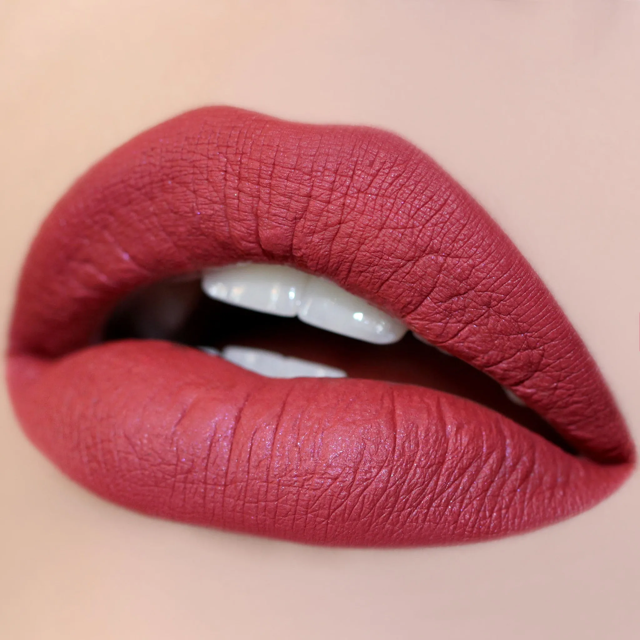 Long Lasting Matte Lip Paint Liquid Lipstick