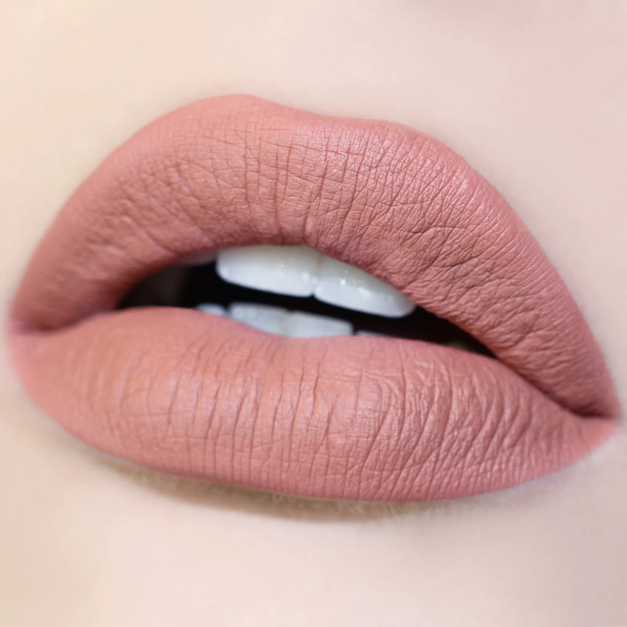 Long Lasting Matte Lip Paint Liquid Lipstick