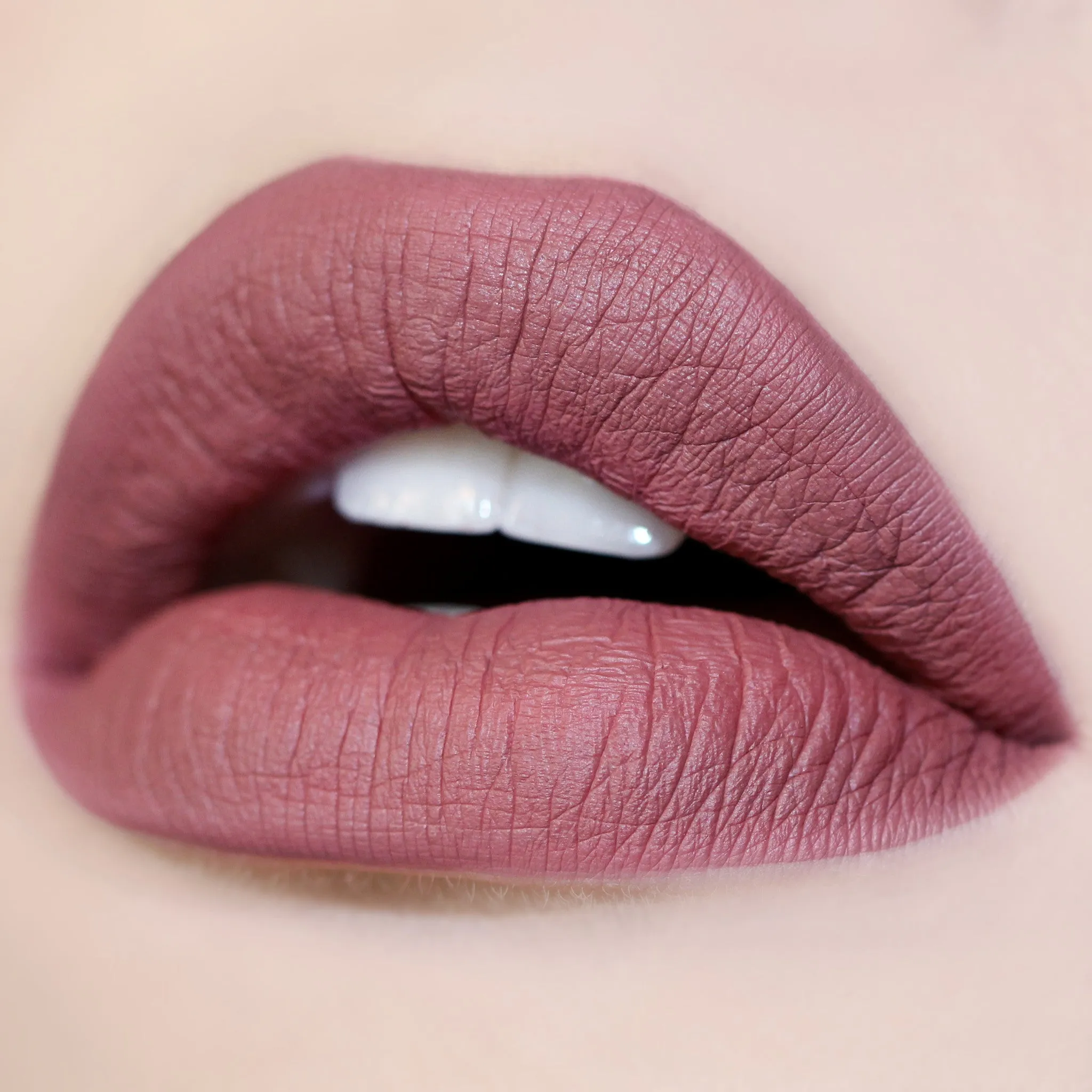 Long Lasting Matte Lip Paint Liquid Lipstick