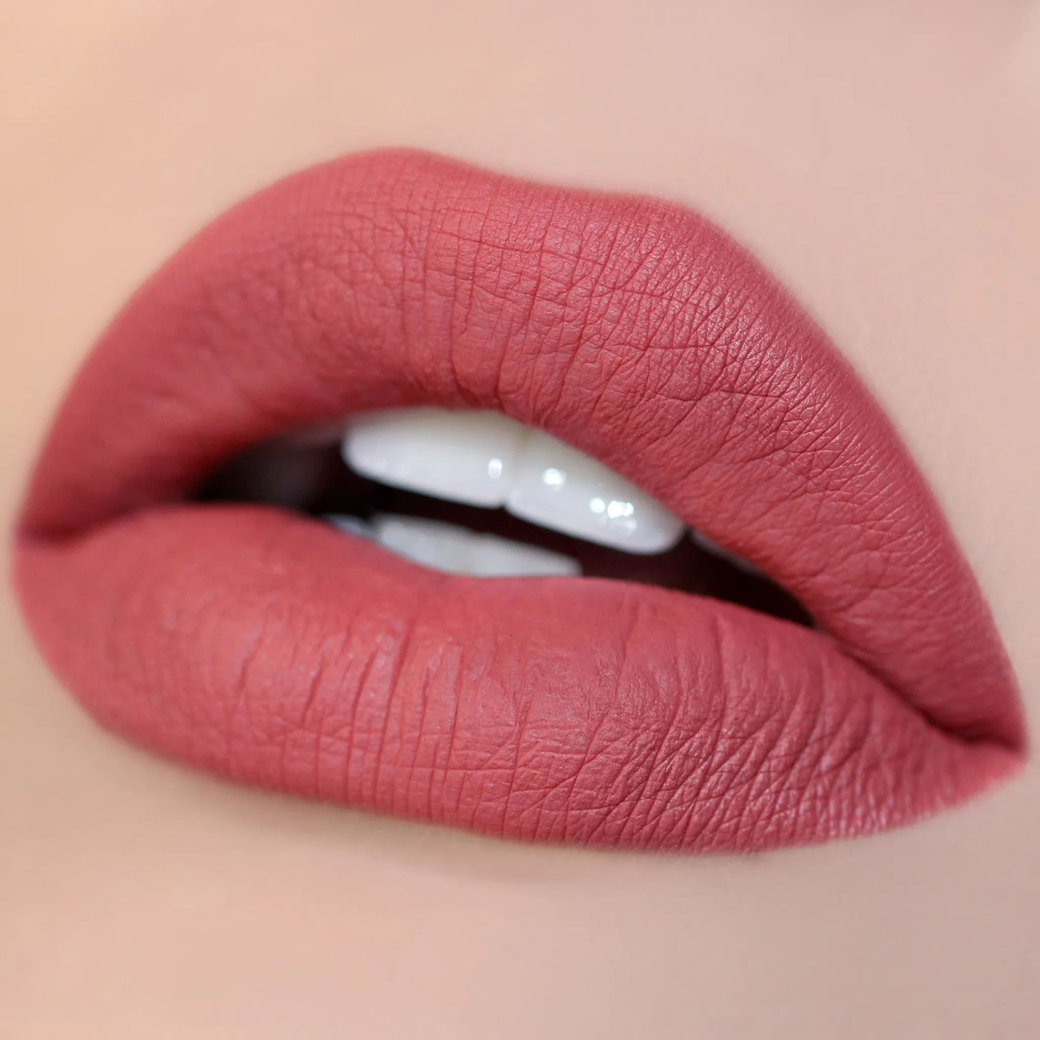 Long Lasting Matte Lip Paint Liquid Lipstick