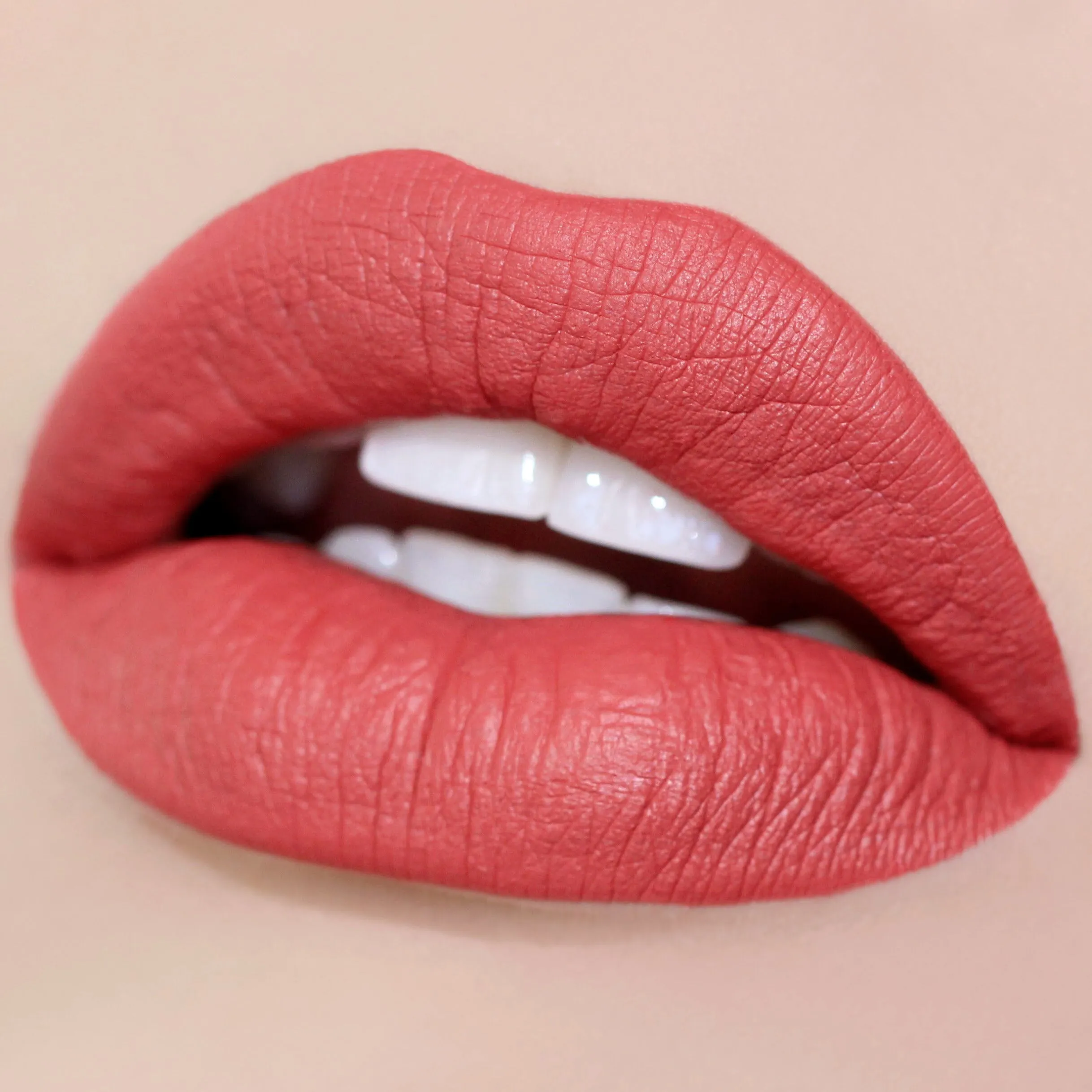 Long Lasting Matte Lip Paint Liquid Lipstick