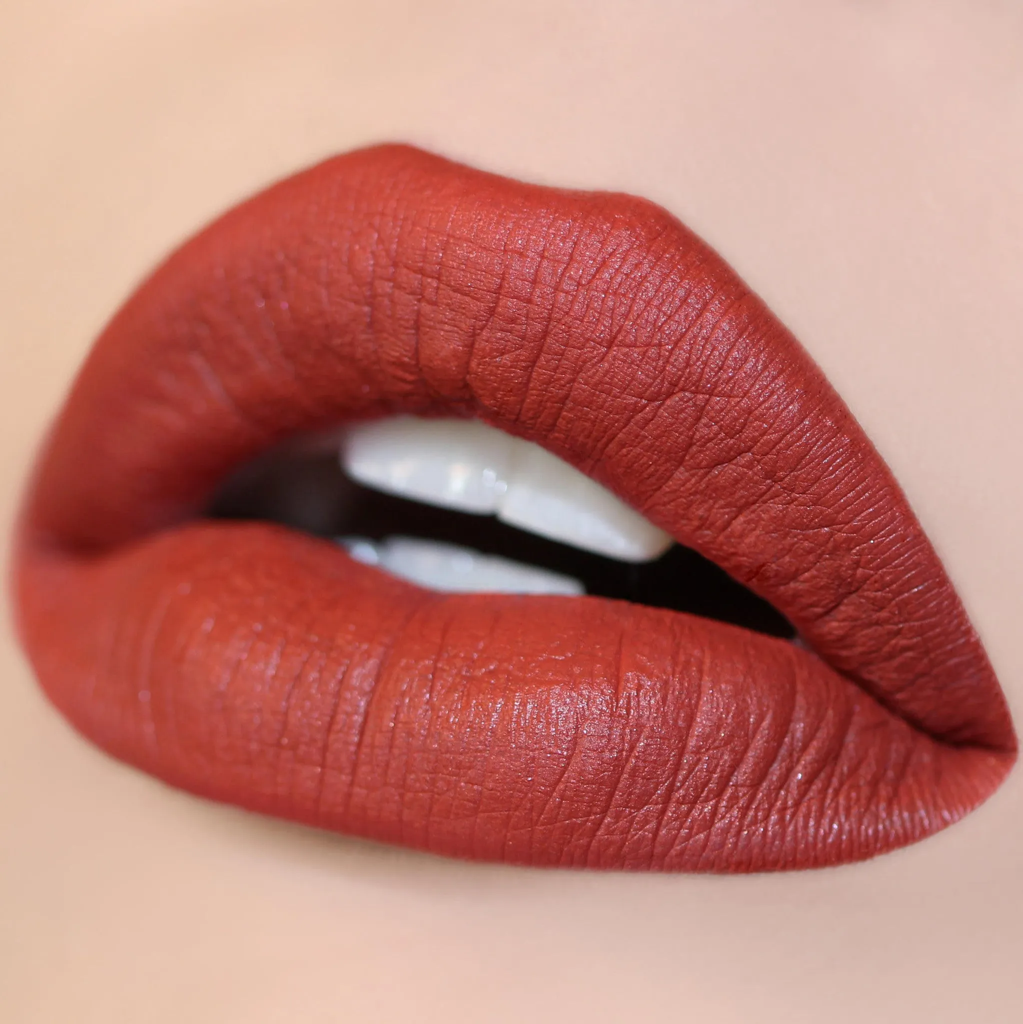 Long Lasting Matte Lip Paint Liquid Lipstick