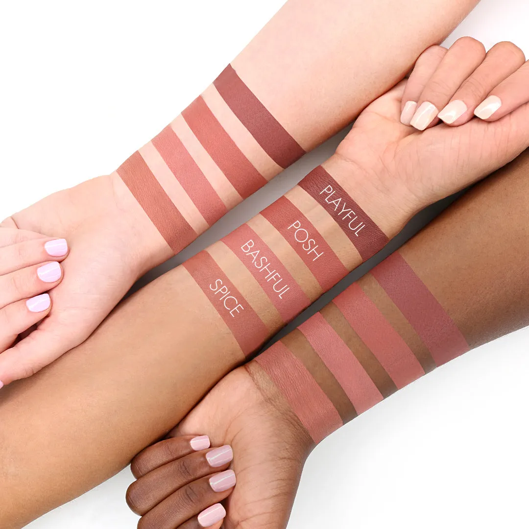 Long Lasting Matte Lip Paint Liquid Lipstick