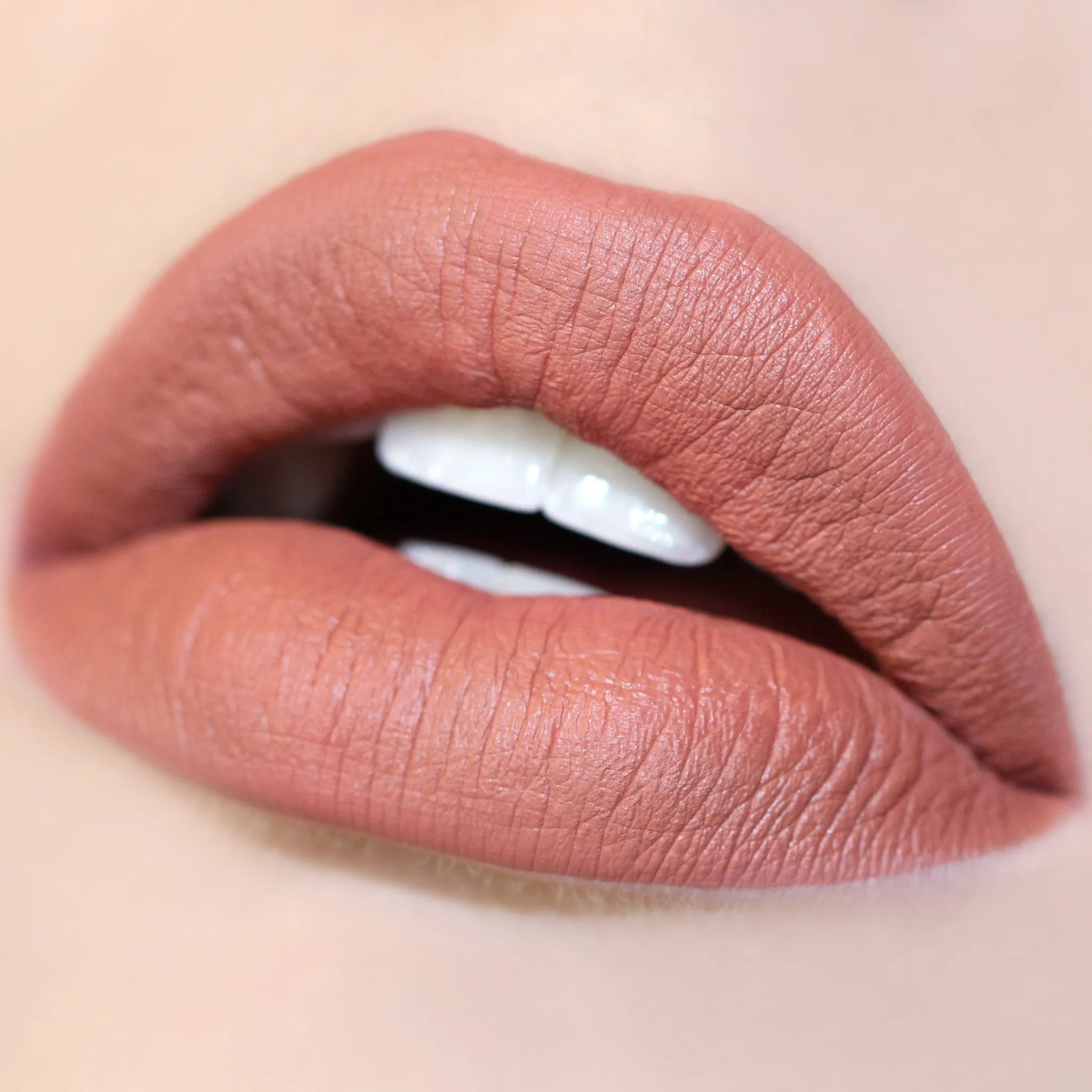 Long Lasting Matte Lip Paint Liquid Lipstick