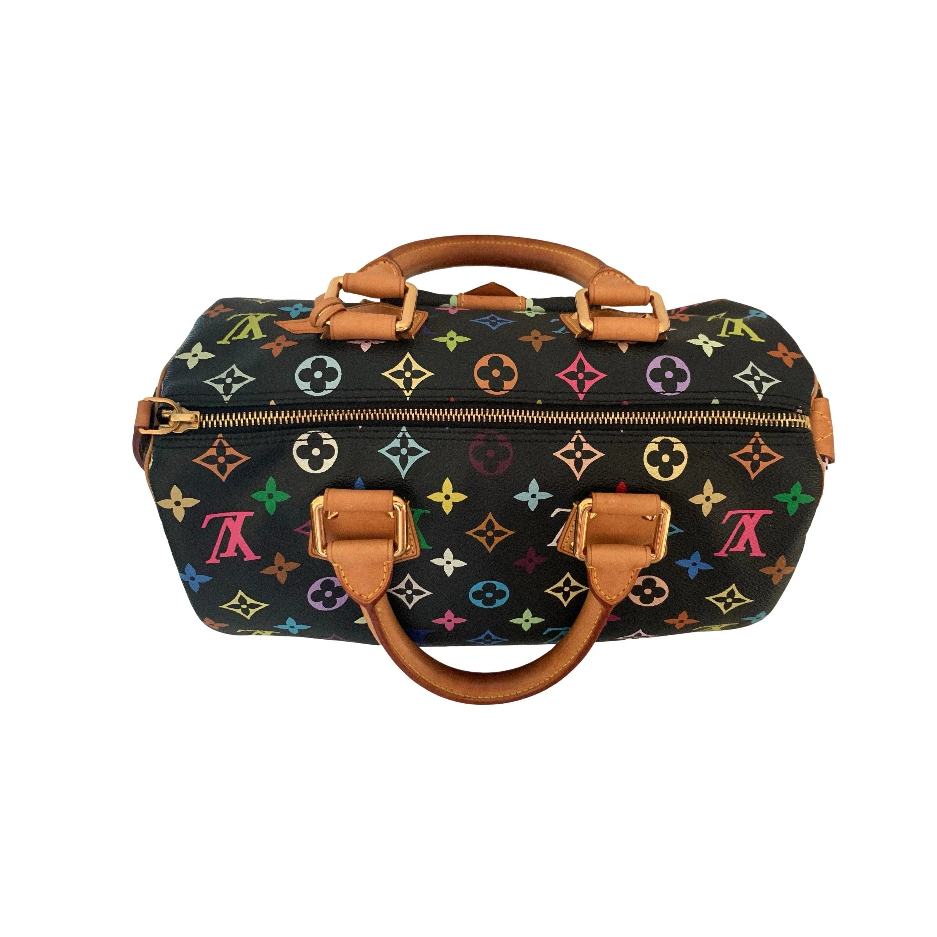 Louis Vuitton Black Murakami Multicolor Monogram Speedy