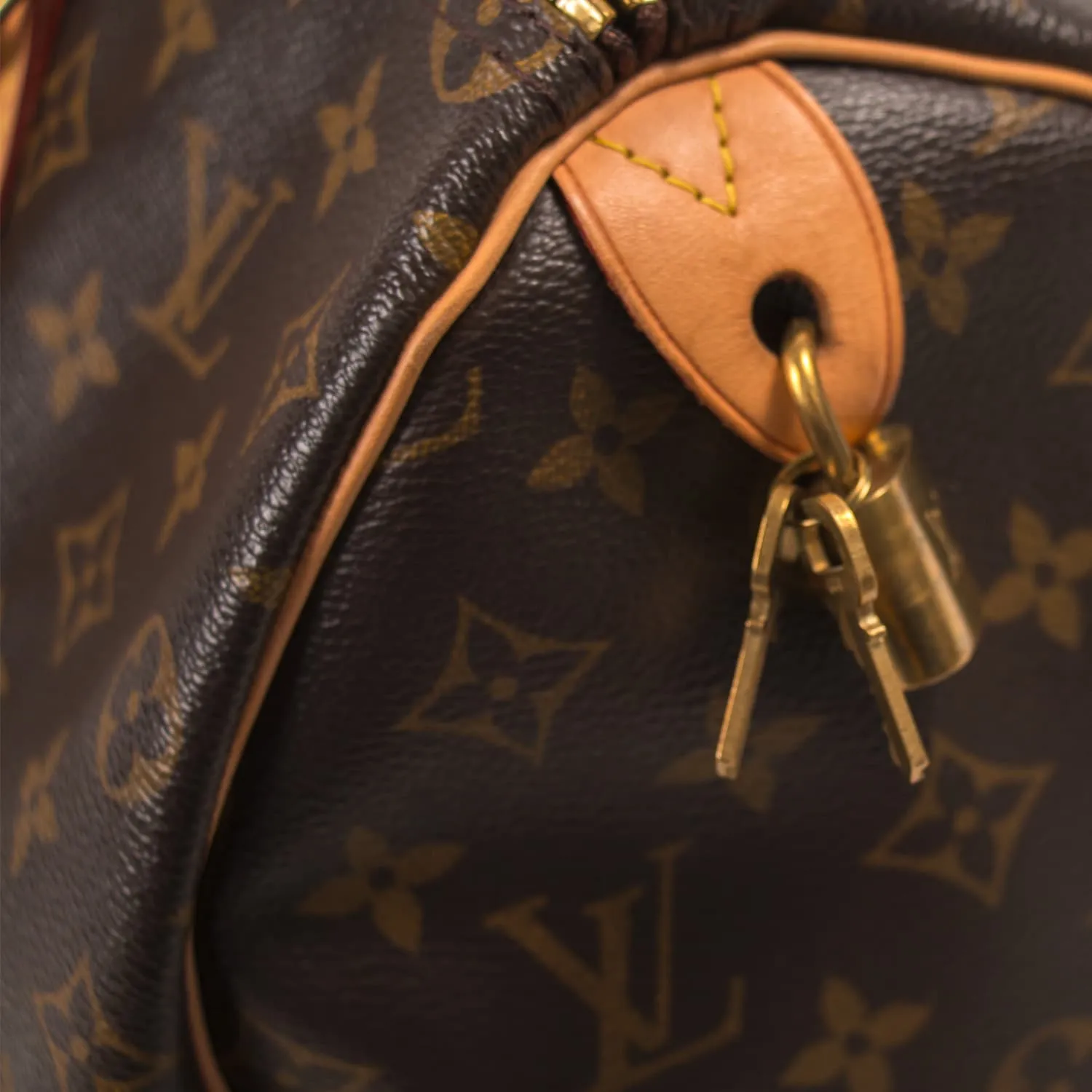 Louis Vuitton Monogram Speedy 35