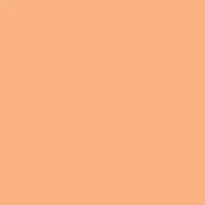 Matte/Gloss  Duo Sided - Clay