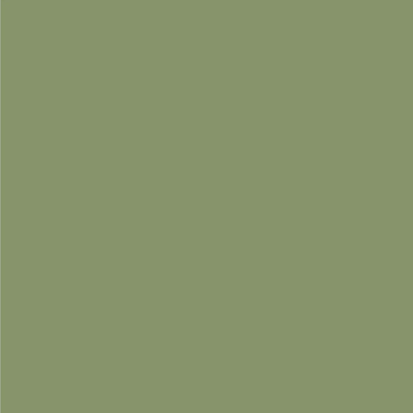 Matte/Gloss  Duo Sided - Crocodile