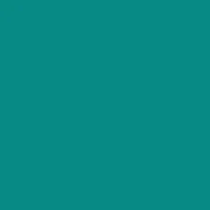 Matte/Gloss  Duo Sided - Teal