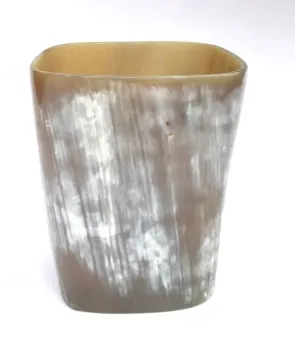 Natural Horn Vase