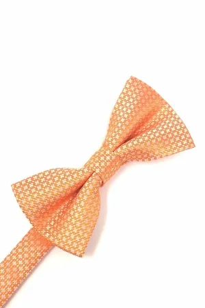 Orange Regal Kids Bow Tie