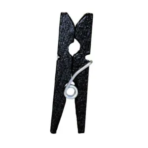 Pack of 100 Mini Black Clothespins