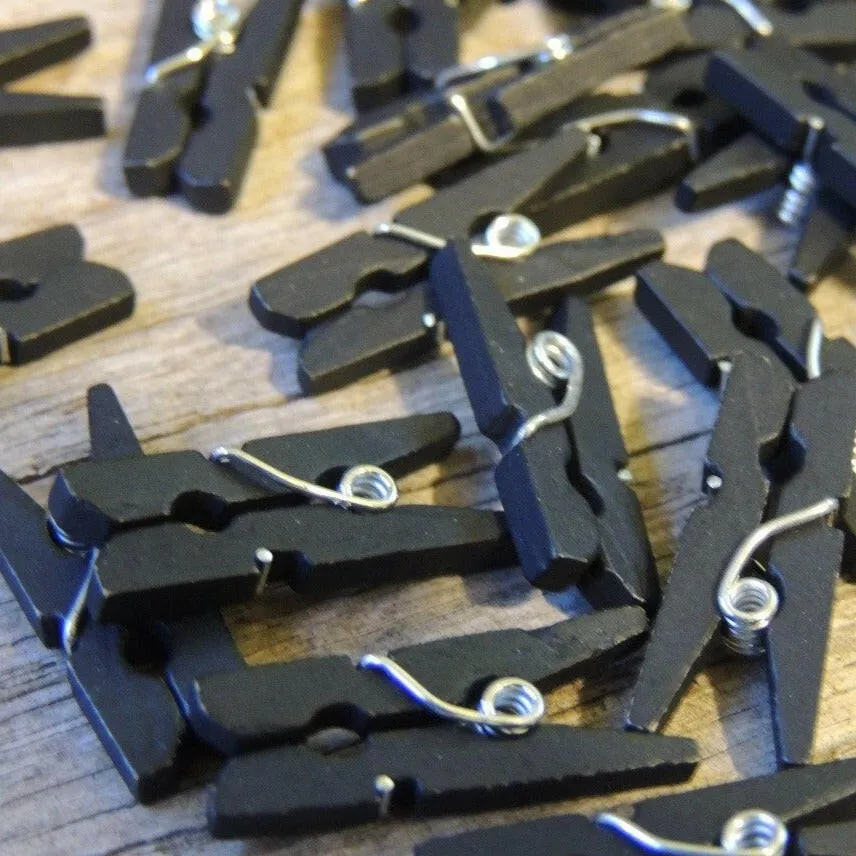Pack of 100 Mini Black Clothespins