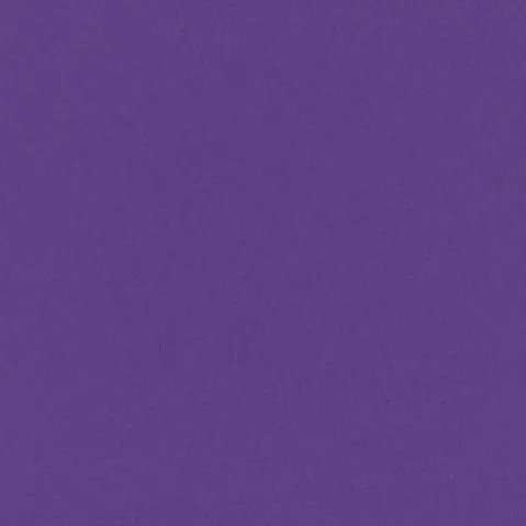 "POISON" MATTE EYESHADOW