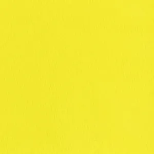 "SUNNY" MATTE EYESHADOW