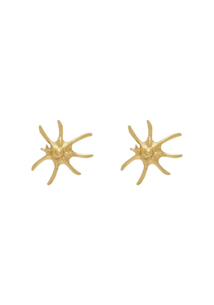 Reverie Statement Shell Studs