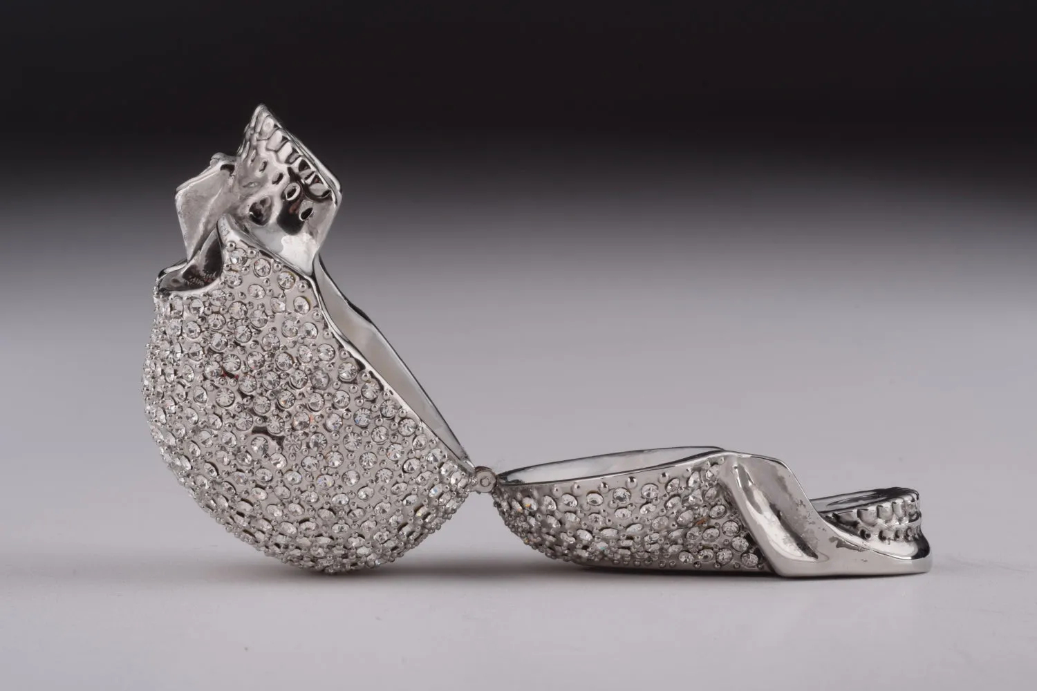 Silver Decorated Skull