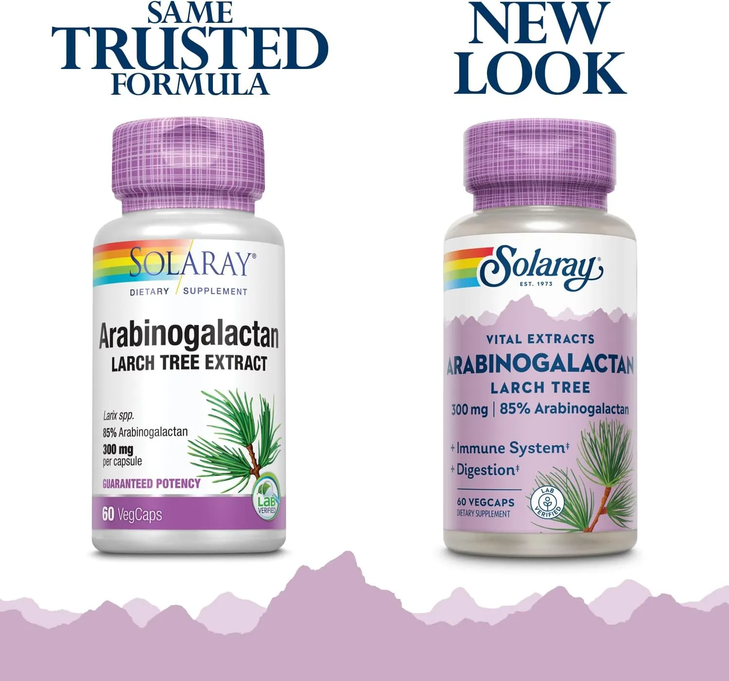 Solaray Arabinogalactan, Larch Tree Extract, 300 Mg, 60 VegCaps