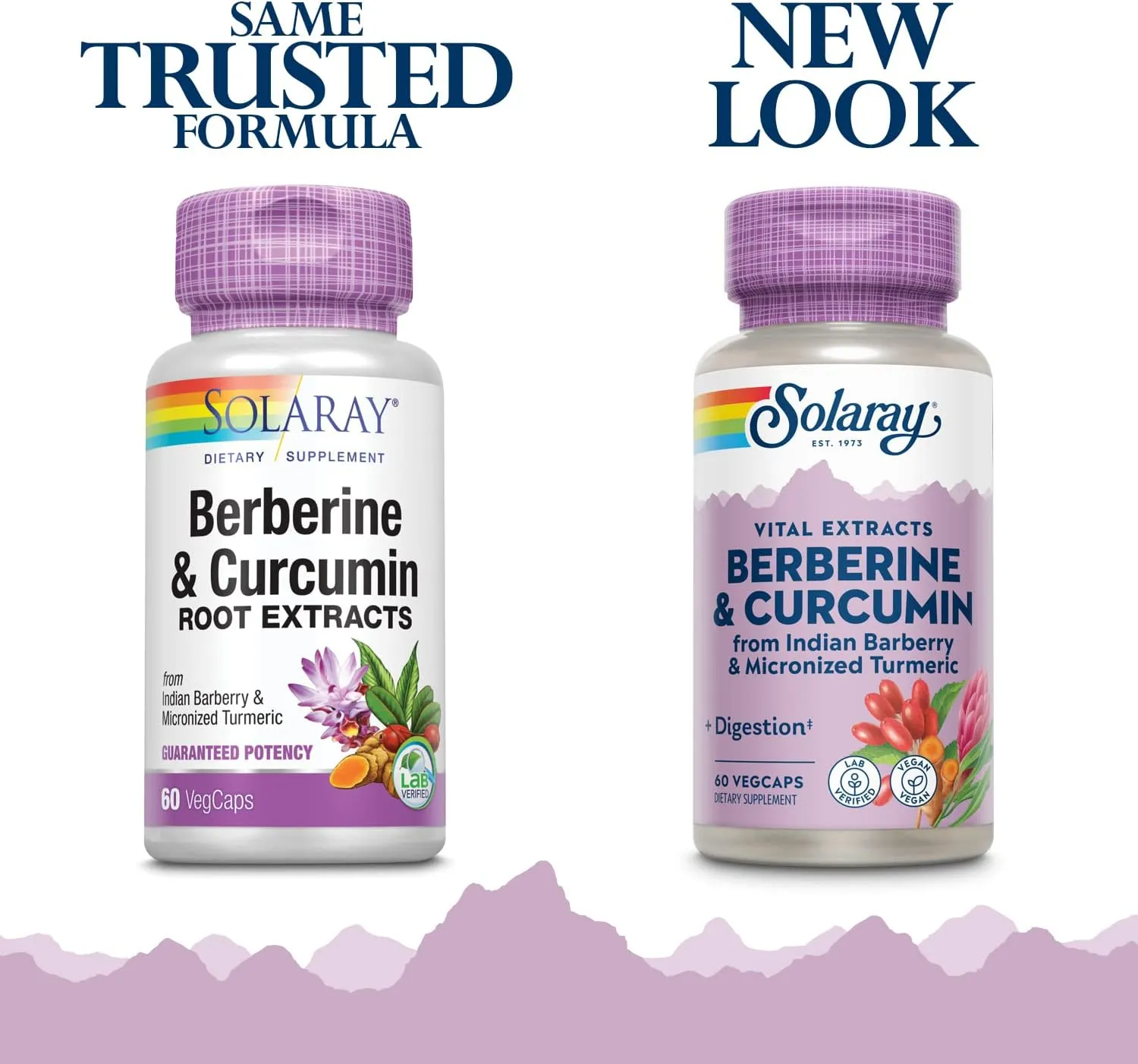Solaray Berberine & Curcumin Root Extracts | Healthy Digestive, Cardiovascular & Metabolic Function Support | 60 VegCaps