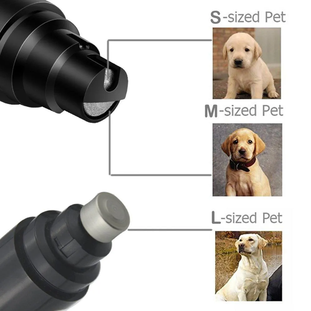 The Neat and Tidy Nail Trimmer